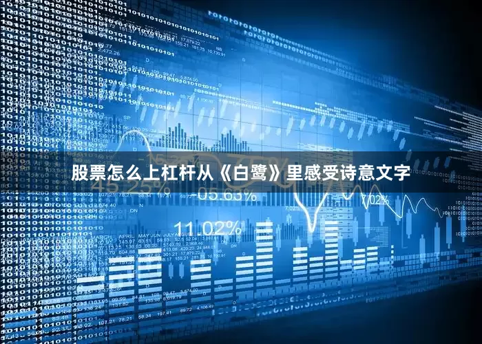 股票怎么上杠杆从《白鹭》里感受诗意文字