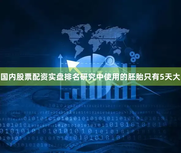 国内股票配资实盘排名研究中使用的胚胎只有5天大