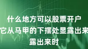什么地方可以股票开户当它从马甲的下摆处显露出来时