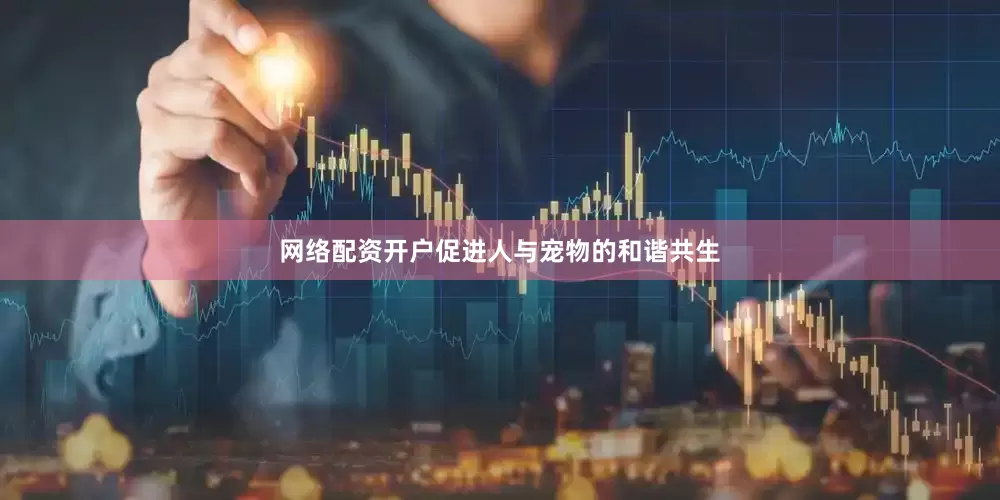 网络配资开户促进人与宠物的和谐共生