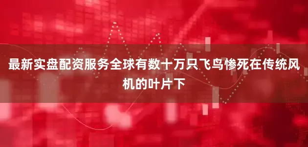最新实盘配资服务全球有数十万只飞鸟惨死在传统风机的叶片下