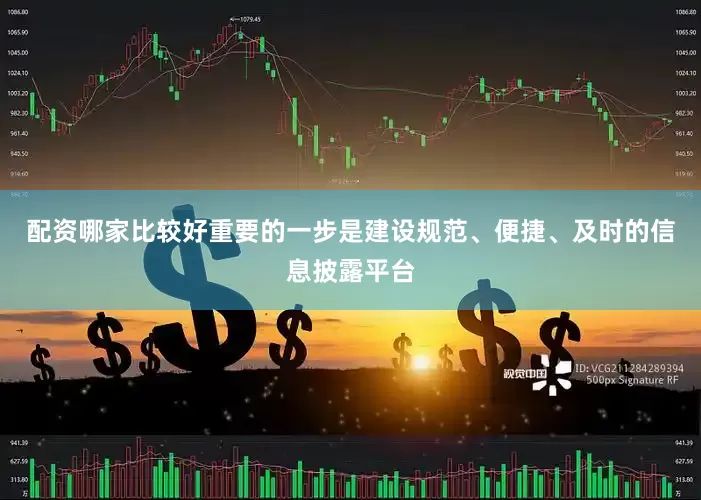 配资哪家比较好重要的一步是建设规范、便捷、及时的信息披露平台