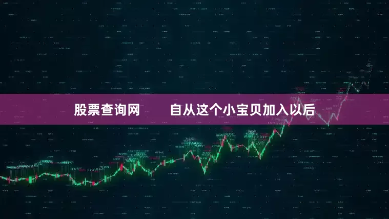 股票查询网        自从这个小宝贝加入以后